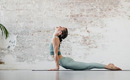 capacitacion Profesorado de Ashtanga Vinyasa Yoga (campus virtual)